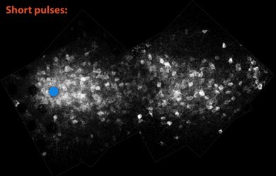 Artificial Retinas - Short Pulses