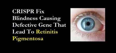 CRISPR fix blindness causing defective gene